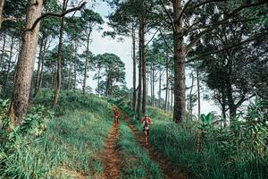 BIB: 
                            <button type="button" onclick="openModal(25652466)" class="btn btn-primary btn-sm float-right btn-popup" data-toggle="modal" data-target=".modal-high-quality">
                        <i class="fas fa-shopping-cart"></i> Add to Cart
                    </button>
                                            <button type="button" onclick="isThisMe(25652466, true)" class="btn btn-success btn-sm float-right btn-popup btn-isme hidden" data-toggle="tooltip" data-placement="bottom" title="นี่คือรูปของคุณใช่ไหม คลิกที่นี่เพื่อเอาเข้าอัลบั้ม">
                        <i class="fas fa-plus"></i> Add to album
                    </button>
                    <button type="button" onclick="isThisMe(25652466, false)" class="btn btn-warning btn-sm float-right btn-popup btn-isnotme hidden">
                        <i class="fas fa-ban"></i> Remove from album
                    </button>